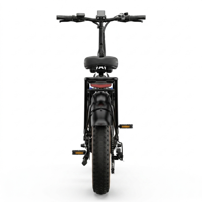 X3 Step-thru Fat Tire